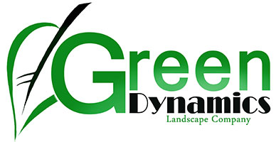 Green Dynamics Landscape